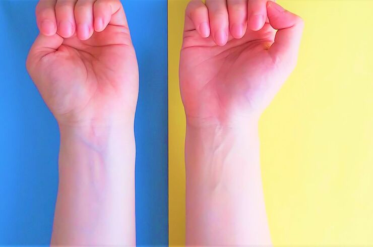 ブルーイエローベース